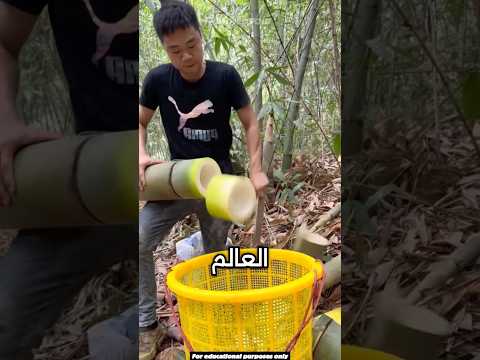 السكين الأخطر في العالم مصنوع من الحمم