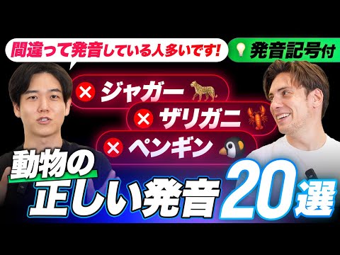 【初級者必見】間違いやすい動物の英語名20選｜発音記号で分析(米英)