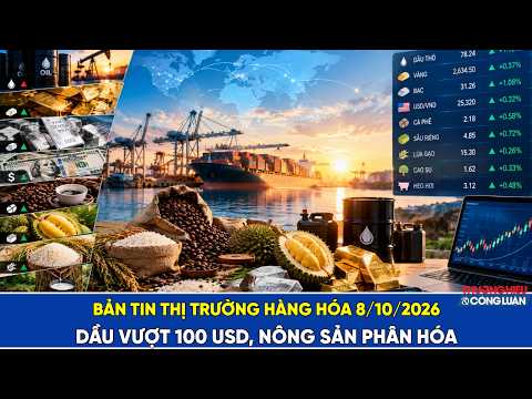 Bản tin thị trường hàng hóa ngày 8/10/2026: Dầu vượt 100 USD, nông sản phân hóa