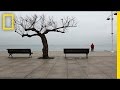 Understanding the Essence of Nature