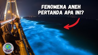 Warga Surabaya Gempar! Air Laut di Bawah Jembatan Suramadu Mengeluarkan Cahaya Biru, Kenapa ini?