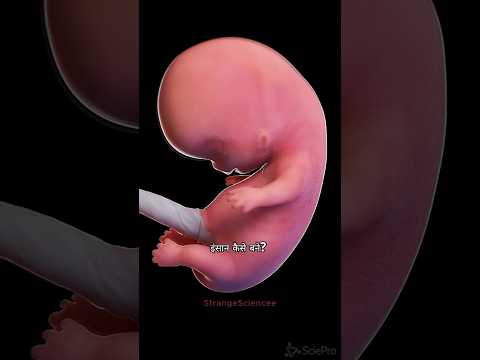 Journey of a Sperm to baby #facts #science #shorts