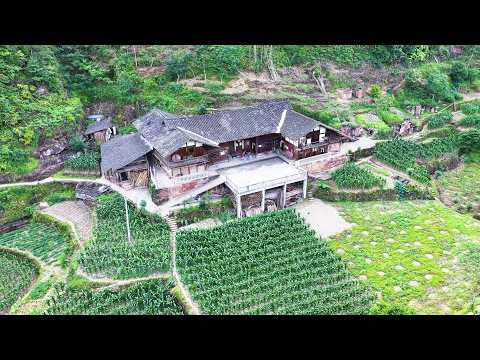 世外桃源，四川深山发现一户人家竟独自隐居在峡谷里，与世无争｜A sichuanfamily lives alone in a valley, a paradise