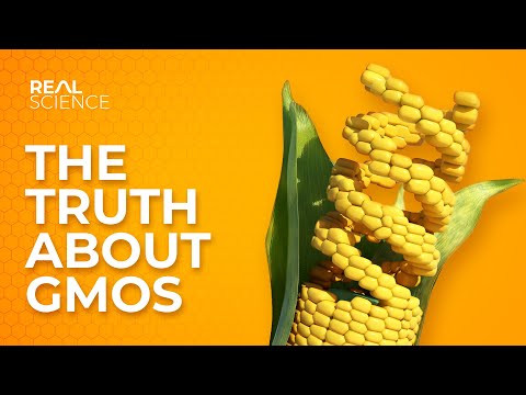YouTube video thumbnail: An Insight Into GMOs