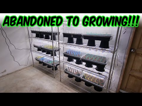 ABANDONED GREENHOUSE property gets started!!!
