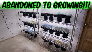 ABANDONED GREENHOUSE property gets started!!!