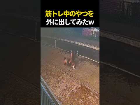 筋トレ中に外に出されるw