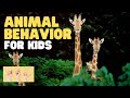 Animal Behavior Concepts and Conditioning