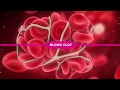 Fibrinolysis and Haemostasis Concepts
