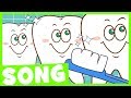 Brushing Teeth: Best Practices