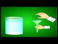 Photosynthesis and Energy Processes