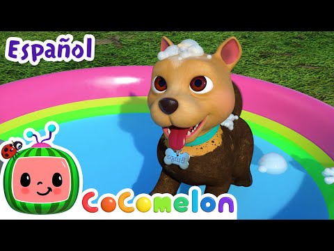 limpieza del perro | Canciones Infantiles 🎵  Para bebés | CoComelon Y sus amigos