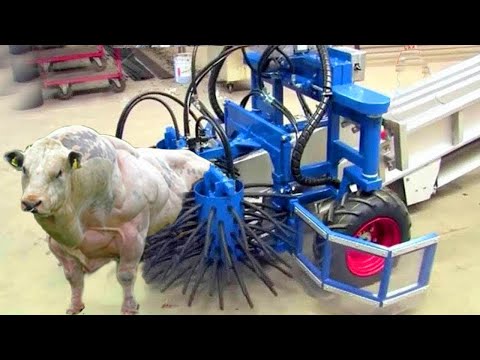 JAW-DROPPING! Robot Shepherd Managing 1000 Sheep — The Future is NOW 🐑🔥