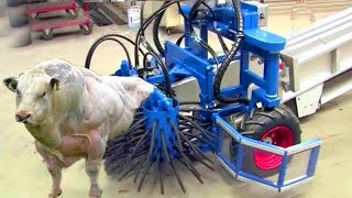 JAW-DROPPING! Robot Shepherd Managing 1000 Sheep — The Future is NOW 🐑🔥