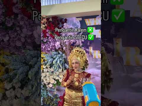 PENGANTIN KALEM❌️ PENGANTIN STECUU✅️#wedding#makeup#shortvideo
