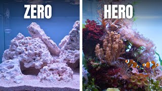 COMPLETE SALTWATER AQUARIUM BEGINNERS GUIDE - EP2: First Fill &  Adding Macro Algae