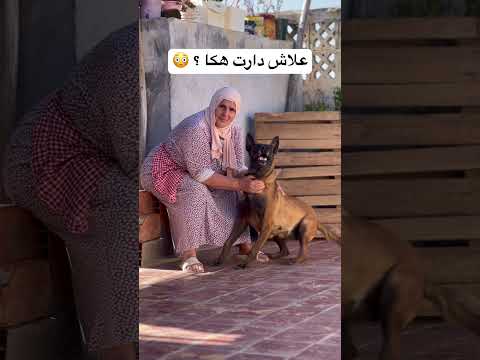 شنو سبب ؟ 😳
