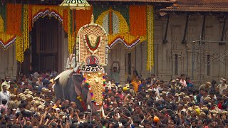 Festival of Elephants | Thrissur Pooram | #Trailer #Documentary