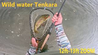 Getting Wild with Wild Water Tenkara Amazing day Fly Fishing #flyfishing #tenkara #trout #nature