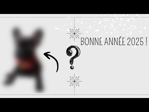 Bonne année à tous 🎉 ❤️