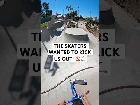 The skaters wanted to kick us out! ๐ซ๐ด Roman Dellapena #shorts #maddgear #shortvideo #sports #skate