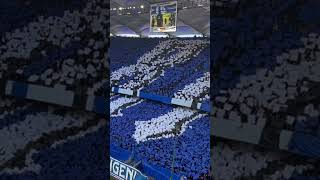 HSV 3: 2 Union Berlin #hsv #bundesliga #choreo