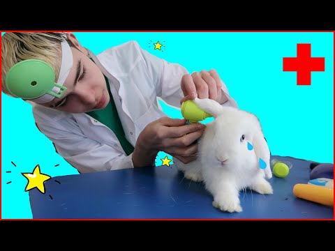 Sick Bunny song |์ด๋ฆฐ์ด ๋
ธ๋ ๋์ | Hello Makar
