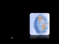 Climate and Wind Patterns