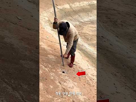 작은 구멍에 갇힌 악어를 구한 남자의 용기