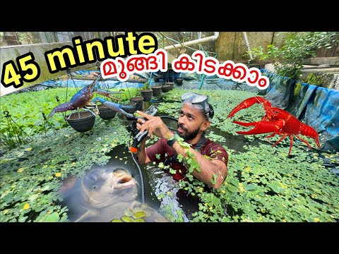 🔥 എന്തിനാ കുളത്തിൽ മുങ്ങിയത്?? | First Time Unboxing In Kerala