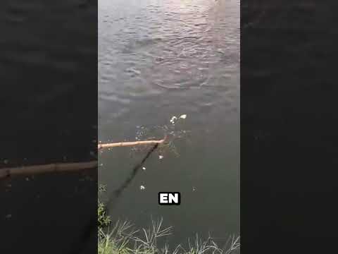 ¡Increíble método de pesca! 🐟✨