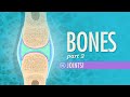 Exploring Joints and Body Movement