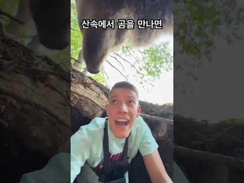 미술작품 산속에서 곰을 실제로 만나면 살수있을까? 행위예술