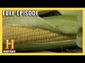 Exploring the Role of Corn in America's Agriculture