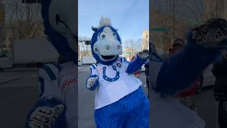 WHOSE HORSE IS DAT??