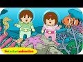 Underwater Animals and Their Habitats