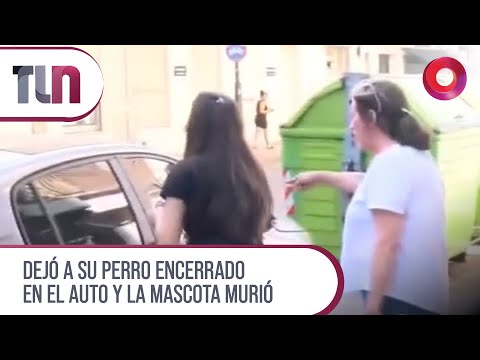 #Telenueve | Dejó a su perro encerrado en el auto y la mascota murió