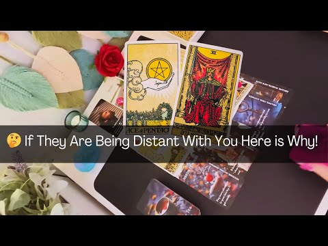 If They Are Being Distant With You Here is Why!  #tarot #love #soulmate #tarotreading #horoscope