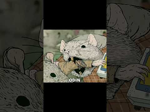 rat invasion..