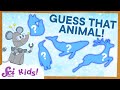 Adaptations of Arctic Animals