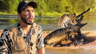 LOS JAGUARES que COMEN COCODRILOS | El Rey de la Selva en América 🐆