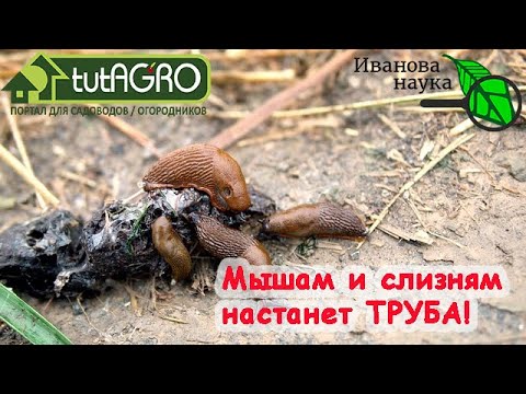 Красным стержнем. (непозорная) труба в саду и дома. Хорошие не пострадают, а злым - кранты!