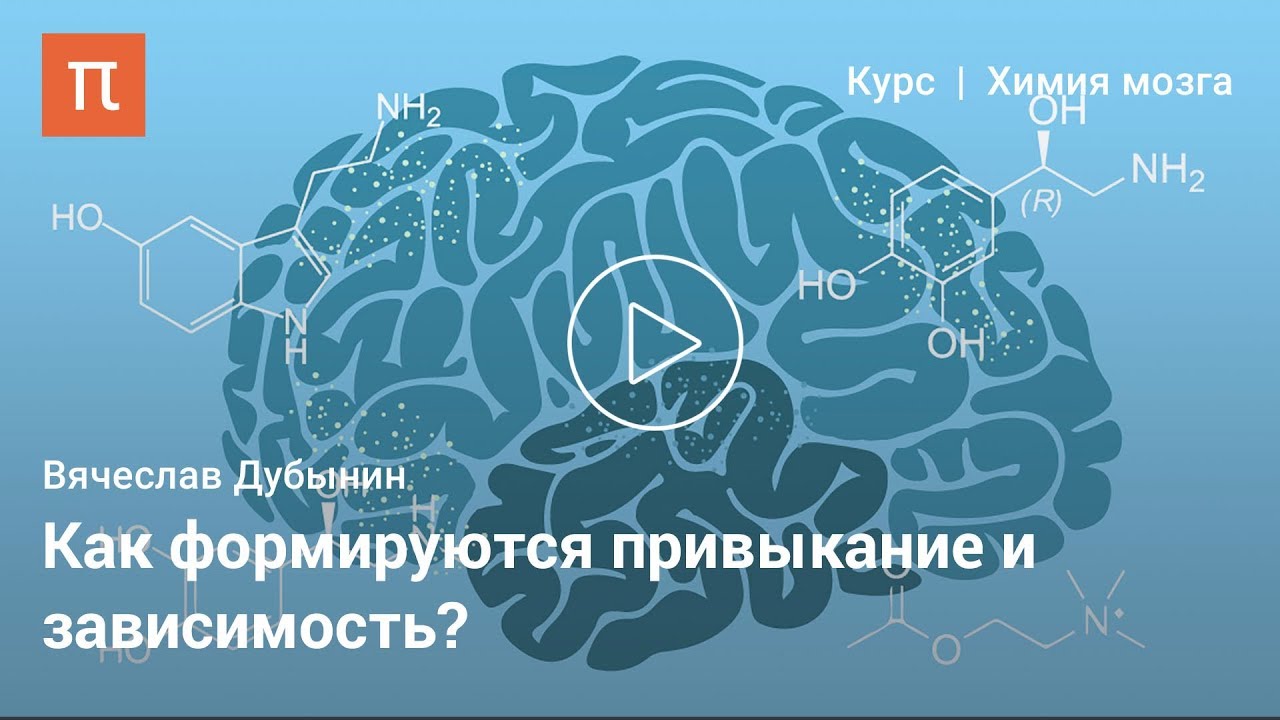 Гистамин и анандамид --Вячеслав Дубынин