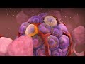 Diabetes Complications and Insulin Function