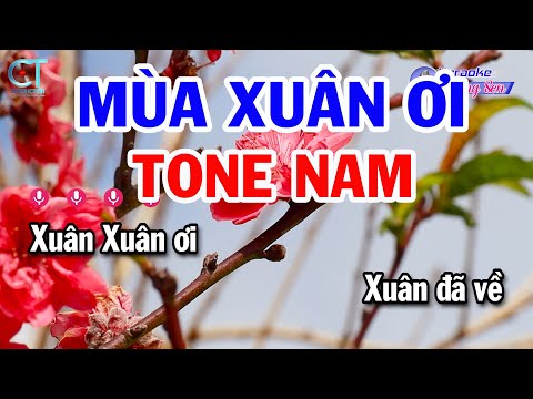 Karaoke Mùa Xuân Ơi Tone Nam Cm || Nhạc Xuân Beat Mới 2025