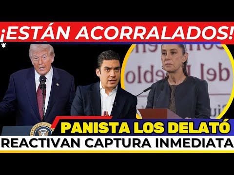 ¡REVOCACIÓN BOMBA! MORENA lanza el tiro de GRACIA. Monreal LO FIRMA. Sheinbaum OBSERVA