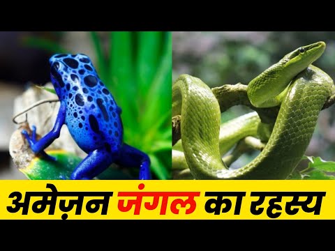 😨 अमेज़न जंगल का रहस्य # Facts about amazon jungle | Amazon Jungle