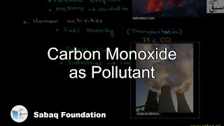Carbon Monoxide and Chlorofluorocarbons as Air Pollutants