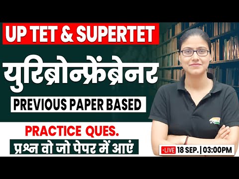 UP SUPER TET 2024 | युरिब्रोन्फ्रेंब्रेनर, CDP Practice Set #6, SUPER TET CDP, CDP Gargi Mam