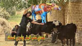 المعزب اتحداني احلب البقر ل3 انواع غريبة 